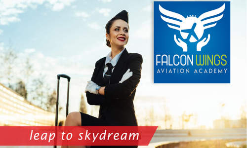 Falcon Wings Aviation Academy in Deccan Gymkhana, Pune - 411004