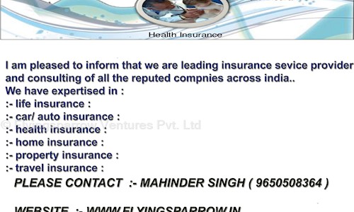 Flyingsparrow Ventures Pvt. Ltd. in Maswanpur, Kanpur - 208019