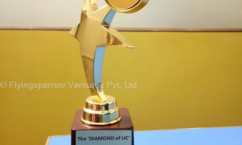Flyingsparrow Ventures Pvt. Ltd. in Sector 4, Noida - 201301