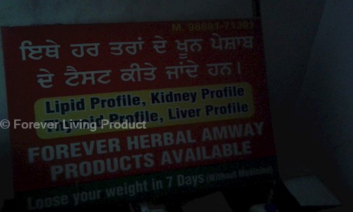 Forever Living Product in Sharifpura, Amritsar - 143001