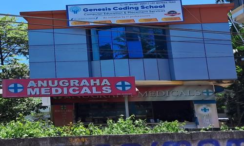 Genesis Academy in Kulathoor, Trivandrum - 695583