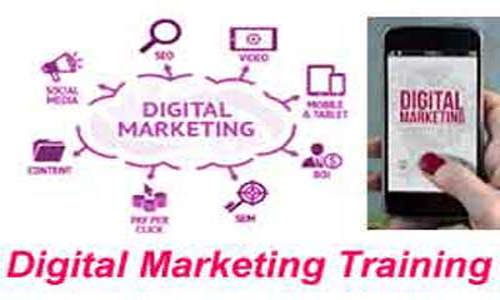 Global Info Tech in Najafgarh, Delhi - 110043