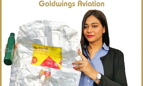 Goldwings Aviation in Jayanagar, Bangalore - 560041