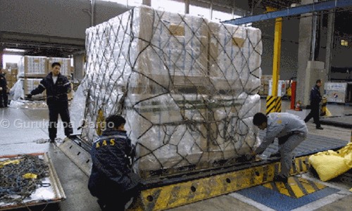 Gurukrupa Cargo in Nikol, Ahmedabad - 380049