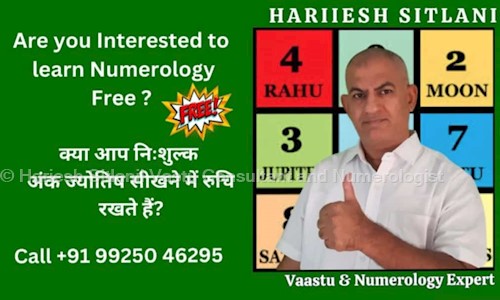 Hariesh Sitlanii Vastu Consultant and Numerologist in Laheripura, Vadodara - 390006