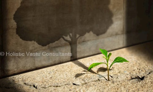Holistic Vastu Consultants in SAS Nagar, Mohali - 160071