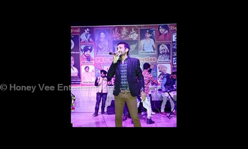Honey Vee Entertainment in Patparganj, Delhi - 110092