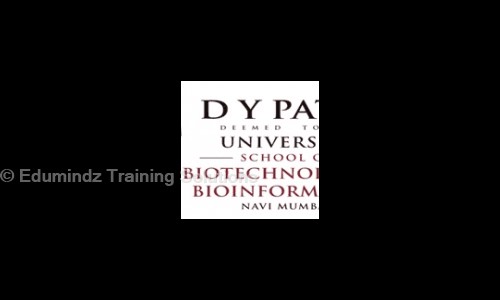 Edumindz Training Solutions in Airoli, Mumbai - 400708