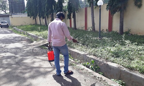 I Care Pest Control in Saraswathipuram, Mysore - 570009