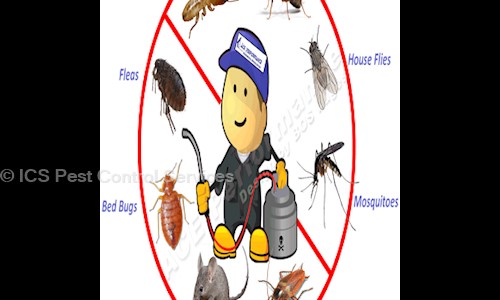 ICS Pest Control Services in Leela Bhawan Market, Patiala - 147001