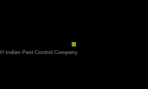 Indian Pest Control Company in Nehru Place, Delhi - 110019