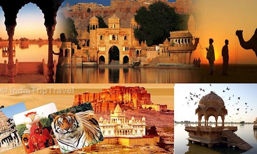 IndiaTripTravel.com in Kamla Nagar, Delhi - 110003
