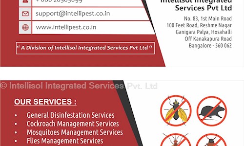 Intellisol Integrated Services Pvt. Ltd. in Hosahalli, Bangalore - 560062