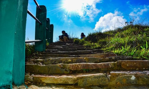 JungleFlit Travels in Beltola, Guwahati - 781001