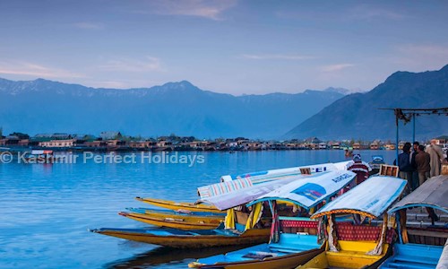Kashmir Perfect Holidays in Zakura, Srinagar - 190006