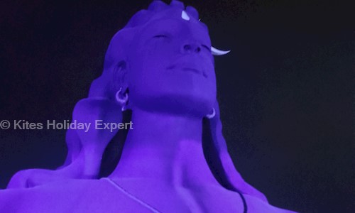 Kites Holiday Expert in Uttam Nagar, Delhi - 110059