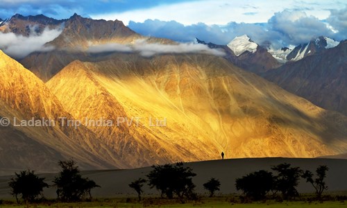 Ladakh Trip India PVT. Ltd. in Vijayanagar, Bangalore - 560040
