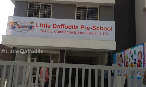 Little Daffodils