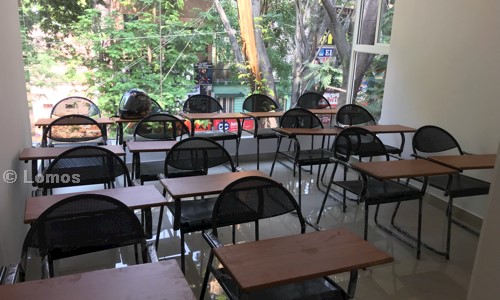 Lomos in Malleswaram, Bangalore - 560003