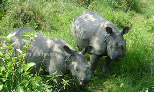 Luit Tours & Travels in Lachitnagar, Guwahati - 781007