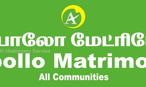 Matrimony Service in T. Nagar, Chennai - 600017