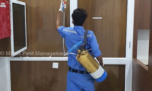 Midas Pest Management in Baranpura, Vadodara - 390001