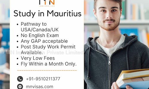 MN Immigration Private Limited in Gulbai Tekra, Ahmedabad - 380006