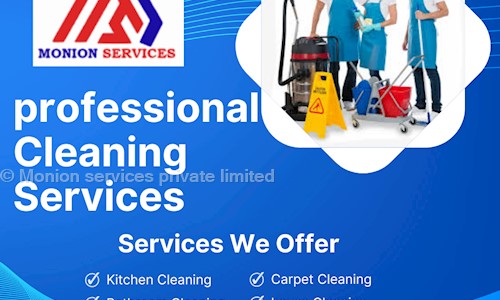 Monion services private limited in Palakonda Road, Srikakulam - 532484