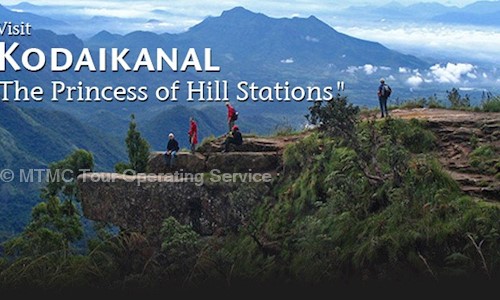 MTMC Tour Operating Service in Tharamani, Chennai - 600113