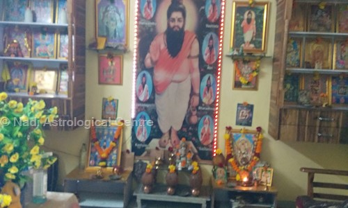 Nadi Astrological Centre in Khokhara, Ahmedabad - 380026