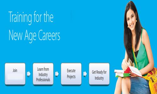 Net Geeks in Bela Chowk Ropar, Rupnagar - 140001