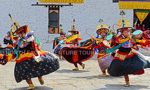 NORTH FACE ADVENTURE TOURS in Mall Road, Manali - 175131