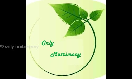 only matrimony in Park Street, Kolkata - 700017