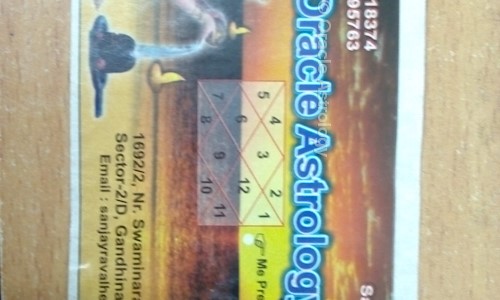 Oracle Astrology in Gandhinagar, Ahmedabad - 382002