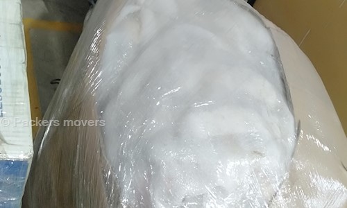 Packers movers