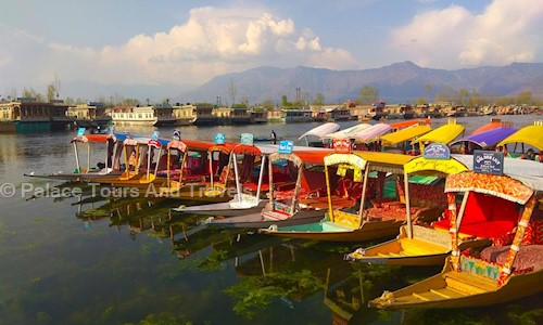 Palace Tours And Travels in Abi Karlpora, Srinagar - 190001