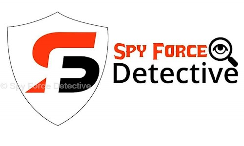 Spy Force Detective in Sector 44D, Chandigarh - 160047
