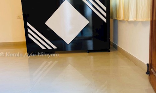 Kerala Ayur Nilayam in Madhapur, hyderabad - 500081