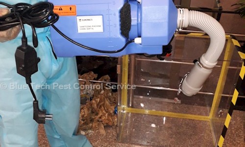 Blue Tech Pest Control Service in Harni, Vadodara - 390022