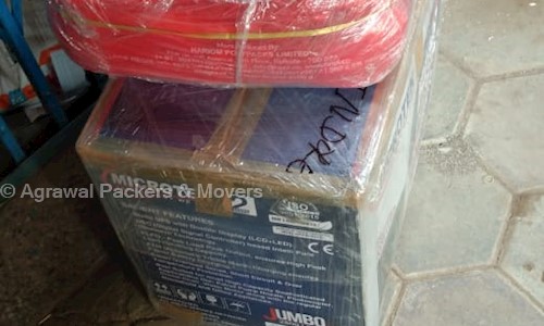 GOLDEN GLOBE PACKERS AND MOVERS  in Marhatal, Jabalpur - 482002