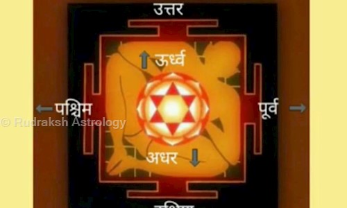 Rudraksh Astrology in Waghodia Road, Vadodara - 390019