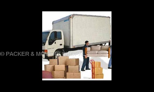 Ezee Shifting Packer & Mover in Govindpura, Bhopal - 462023
