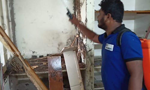 Arrow Pest Control in Jeedimetla, Hyderabad - 500055