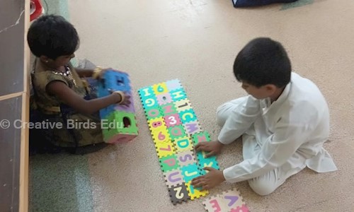 Creative Birds Edu