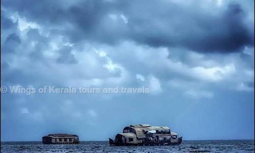 Wings of Kerala tours and travels  in Cheppad, Alleppey - 690507