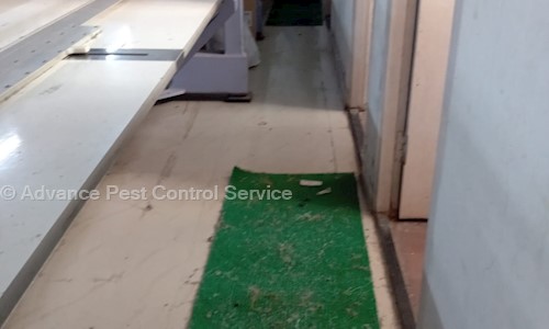 Advance Pest Control Service in Kestopur, Kolkata - 700102