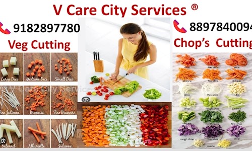 V Care City Services in Malakpet, Hyderabad - 500028