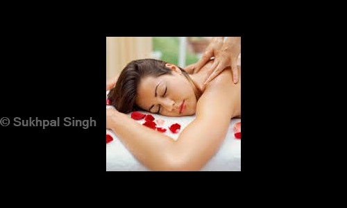 Sukhpal Singh in Sector 15, Noida - 201301