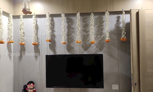 Pooja Flower in Naranpura, Ahmedabad - 380063