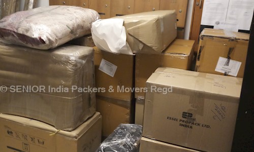 SENIOR India Packers & Movers Regd. in Bailey Road, Patna - 800014